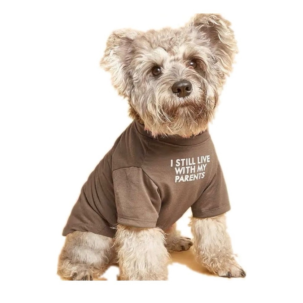 Brown Dog T-Shirt - "I Still Live With My Parents"